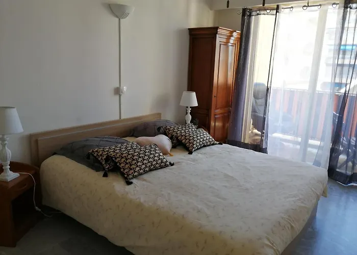 Grand 2 Pieces Centre 公寓 昂蒂布